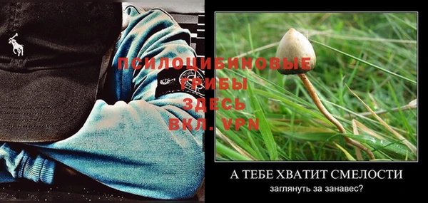герыч Верея